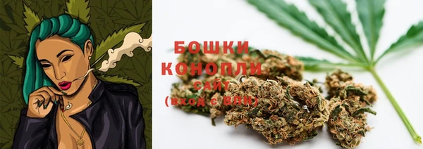 гидропоника Каменка