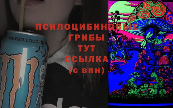 метамфетамин Каменногорск