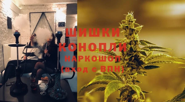 гидропоника Каменка