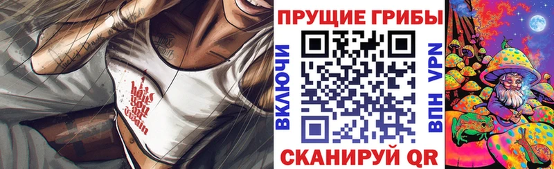 Псилоцибиновые грибы MAGIC MUSHROOMS  Купить где  Пласт 