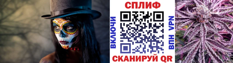 Конопля MAZAR  Купить где  Пласт 